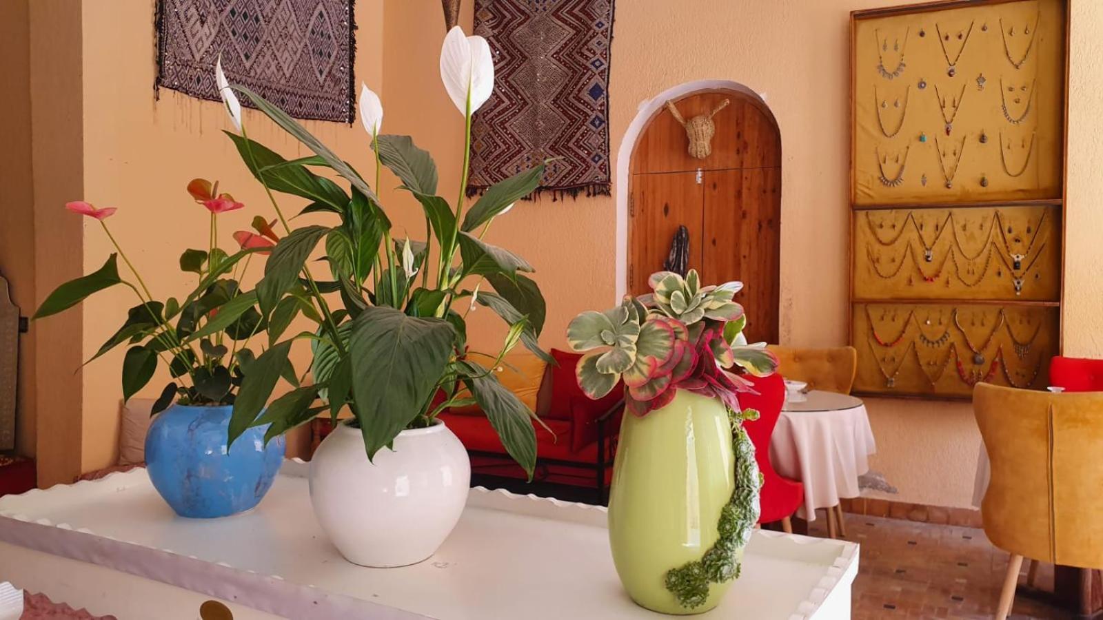 Riad Golf Stinia 2 แมกเนส ภายนอก รูปภาพ